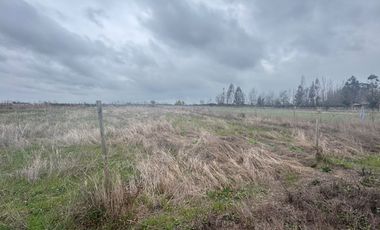 Parcelas de 5.000M2 km 14 camino a Coihueco sector Talquipen