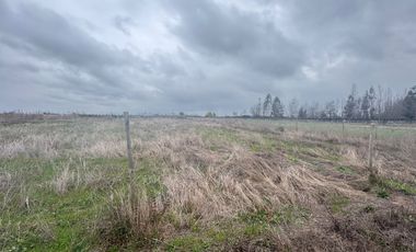 Parcelas de 5.000M2 km 14 camino a Coihueco sector Talquipen