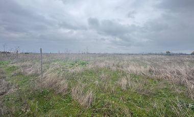 Parcelas de 5.000M2 km 14 camino a Coihueco sector Talquipen