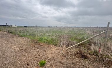 Parcelas de 5.000M2 km 14 camino a Coihueco sector Talquipen