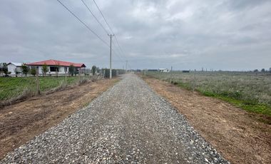 Parcelas de 5.000M2 km 14 camino a Coihueco sector Talquipen
