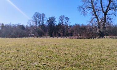 Hermosa Parcela a 10 Minutos de Villarrica, 2,45 Hectáreas.