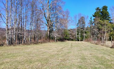 Hermosa Parcela a 10 Minutos de Villarrica, 2,45 Hectáreas.