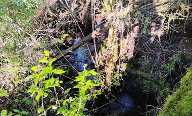 Hermosa Parcela a 10 Minutos de Villarrica, 2,45 Hectáreas.