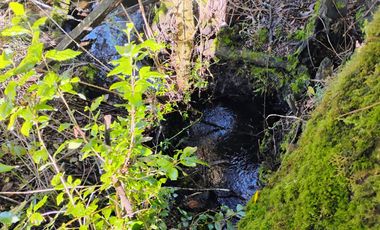 Hermosa Parcela a 10 Minutos de Villarrica, 2,45 Hectáreas.