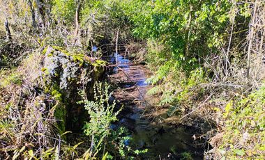 Hermosa Parcela a 10 Minutos de Villarrica, 2,45 Hectáreas.