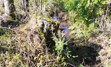Hermosa Parcela a 10 Minutos de Villarrica, 2,45 Hectáreas.