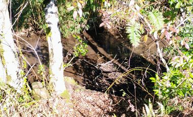 Hermosa Parcela a 10 Minutos de Villarrica, 2,45 Hectáreas.