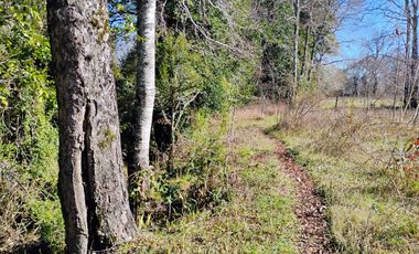 Hermosa Parcela a 10 Minutos de Villarrica, 2,45 Hectáreas.