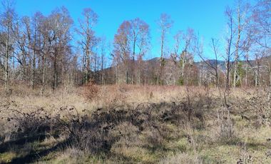 Hermosa Parcela a 10 Minutos de Villarrica, 2,45 Hectáreas.