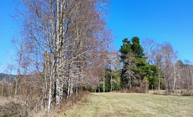 Hermosa Parcela a 10 Minutos de Villarrica, 2,45 Hectáreas.