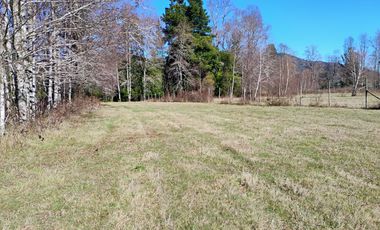 Hermosa Parcela a 10 Minutos de Villarrica, 2,45 Hectáreas.