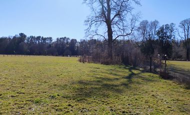 Hermosa Parcela a 10 Minutos de Villarrica, 2,45 Hectáreas.