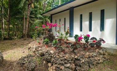 Attractively Priced Newly Built Contemporary Buildings on Glorious Beachfront - TITLED