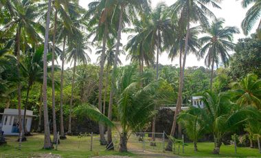 Attractively Priced Newly Built Contemporary Buildings on Glorious Beachfront - TITLED