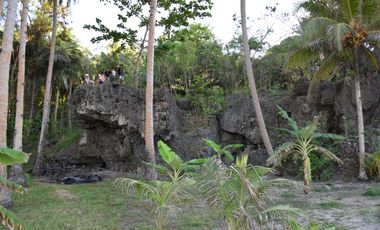 Attractively Priced Newly Built Contemporary Buildings on Glorious Beachfront - TITLED