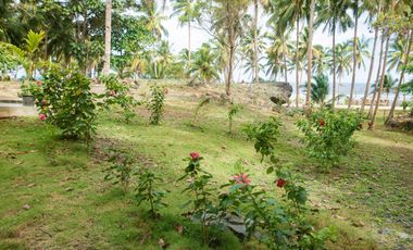 Attractively Priced Newly Built Contemporary Buildings on Glorious Beachfront - TITLED