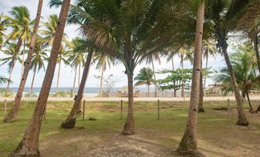 Attractively Priced Newly Built Contemporary Buildings on Glorious Beachfront - TITLED