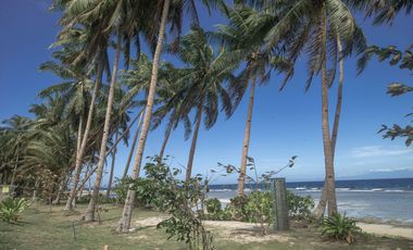 Attractively Priced Newly Built Contemporary Buildings on Glorious Beachfront - TITLED