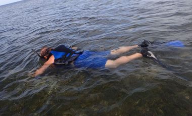 Attractively Priced Newly Built Contemporary Buildings on Glorious Beachfront - TITLED