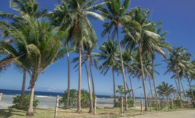 Attractively Priced Newly Built Contemporary Buildings on Glorious Beachfront - TITLED