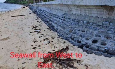 Attractively Priced Newly Built Contemporary Buildings on Glorious Beachfront - TITLED