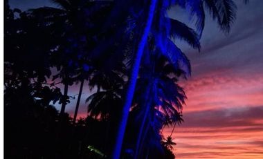 Attractively Priced Newly Built Contemporary Buildings on Glorious Beachfront - TITLED