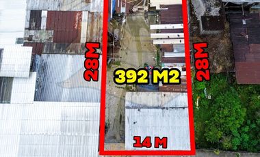 𝐂𝐨𝐨𝐩. 𝐋𝐚𝐬 𝐏𝐚𝐥𝐦𝐚𝐬