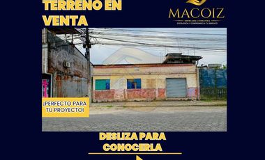 𝐂𝐨𝐨𝐩. 𝐋𝐚𝐬 𝐏𝐚𝐥𝐦𝐚𝐬