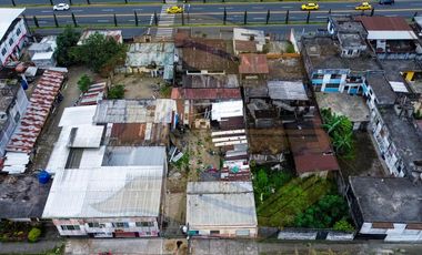 𝐂𝐨𝐨𝐩. 𝐋𝐚𝐬 𝐏𝐚𝐥𝐦𝐚𝐬