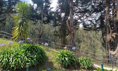 Penthouse en venta y renta en Colinas del Pichincha