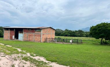 RANCHO EN VENTA, 3 HECTAREAS, COL LAS GARZAS, CINTALAPA, CHIAPAS