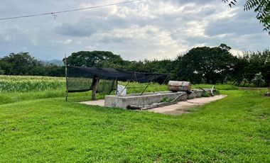 RANCHO EN VENTA, 3 HECTAREAS, COL LAS GARZAS, CINTALAPA, CHIAPAS