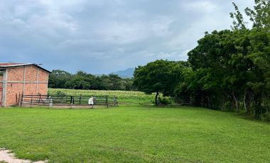 RANCHO EN VENTA, 3 HECTAREAS, COL LAS GARZAS, CINTALAPA, CHIAPAS