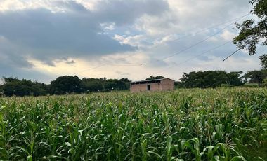 RANCHO EN VENTA, 3 HECTAREAS, COL LAS GARZAS, CINTALAPA, CHIAPAS