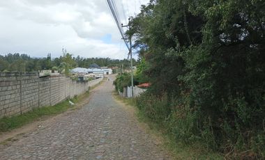 DEPARTAMENTO DE ARRIENDO EN LA FLORESTA ALANGASI