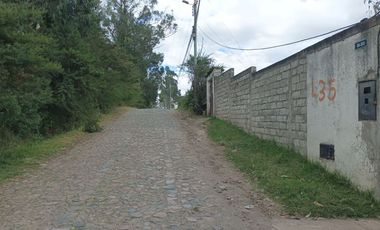 DEPARTAMENTO DE ARRIENDO EN LA FLORESTA ALANGASI