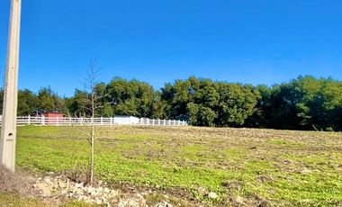 NO TE PIERDAS LA OPORTUNIDAD DE REALIZAR TU PROYECTO EN UN ENTORNO NATURAL, VISITA ESTA HERMOSA PARCELA CAMINO A CATO