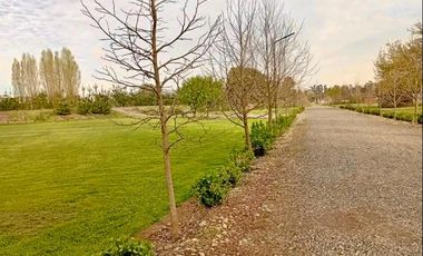 NO TE PIERDAS LA OPORTUNIDAD DE REALIZAR TU PROYECTO EN UN ENTORNO NATURAL, VISITA ESTA HERMOSA PARCELA CAMINO A CATO