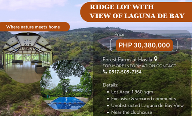 Prime Ridge Lot for Sale with views of Laguna de bay in Forest Farms, Angono, Rizal.