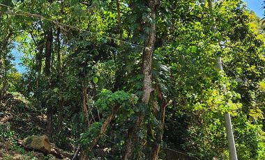 Prime Ridge Lot for Sale with views of Laguna de bay in Forest Farms, Angono, Rizal.