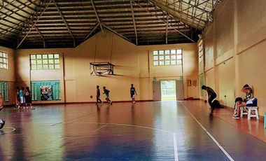 3BR House and Lot for Sale at Palma Real Residential Estates