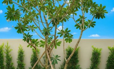 Brand-New Luxury Style Villa 4 Bedrooms At Soi 88 For Sale