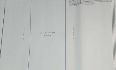 338sqm Vacant Lot For Sale – Bankers Village I, Caloocan