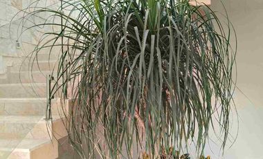 Exclusiva Casa en Venta de tres recámaras acabados de primera calidad y en coto exclusivo en vistas Altozano en Morelia Michoacán