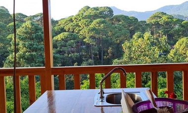 Renta de casa en Monte Alto