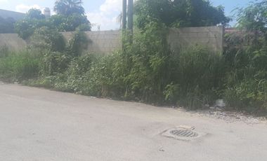 SE RENTA TERRENO EN ESQUINA DE 160m (8X20)