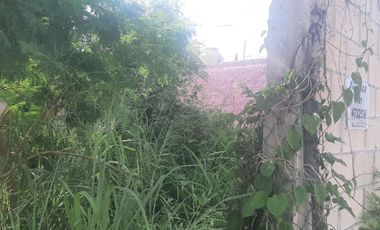 SE RENTA TERRENO EN ESQUINA DE 160m (8X20)
