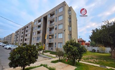 Arriendo de departamento, sector Peñablanca, Villa Alemana