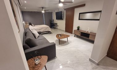 Renta de Departamento Amueblado Col del Carmen